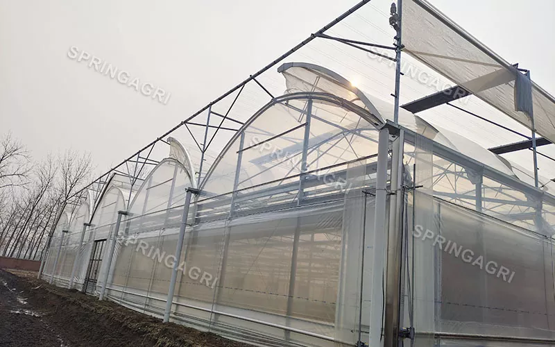 Estufa de filme transparente PO de 150 mícrons