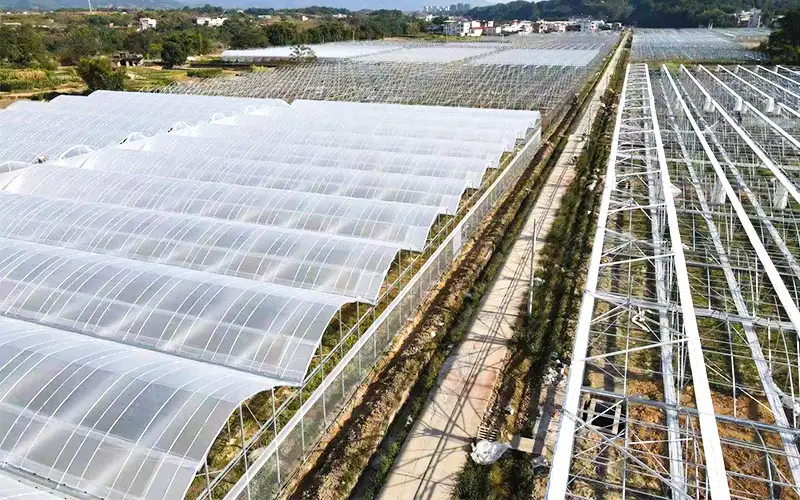Estufa de plástico