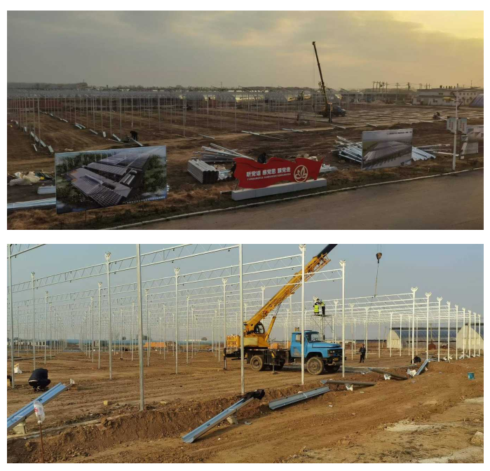 Nosso canteiro de obras está correndo para montar o esqueleto da estufa galvanizado por imersão a quente,