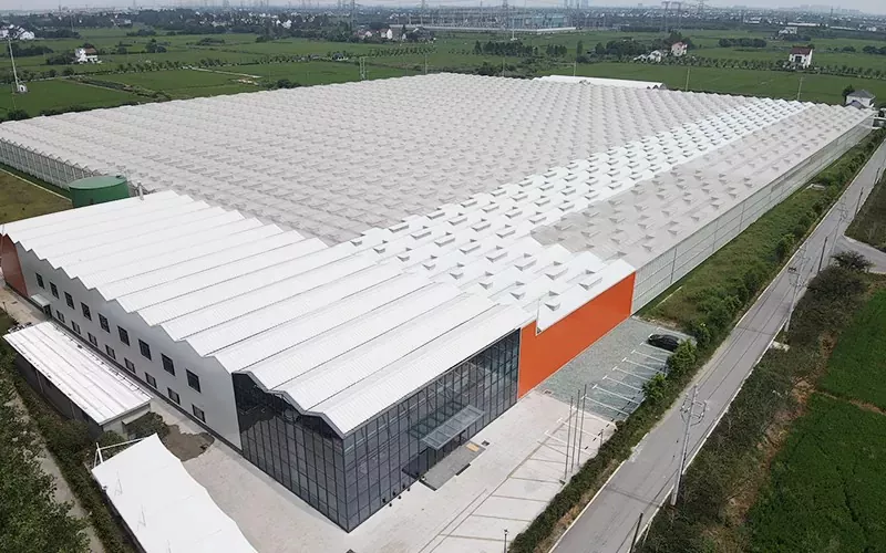 Greenhouse de vidro abraça a tecnologia de ponta para agricultura sustentável