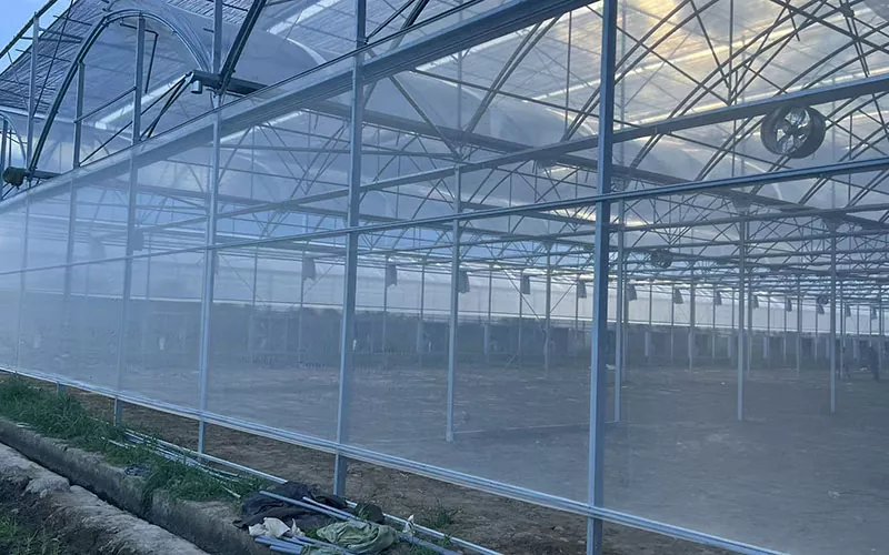 O Greenhouse Inseto líquido lidera uma nova tendência no controle de pragas