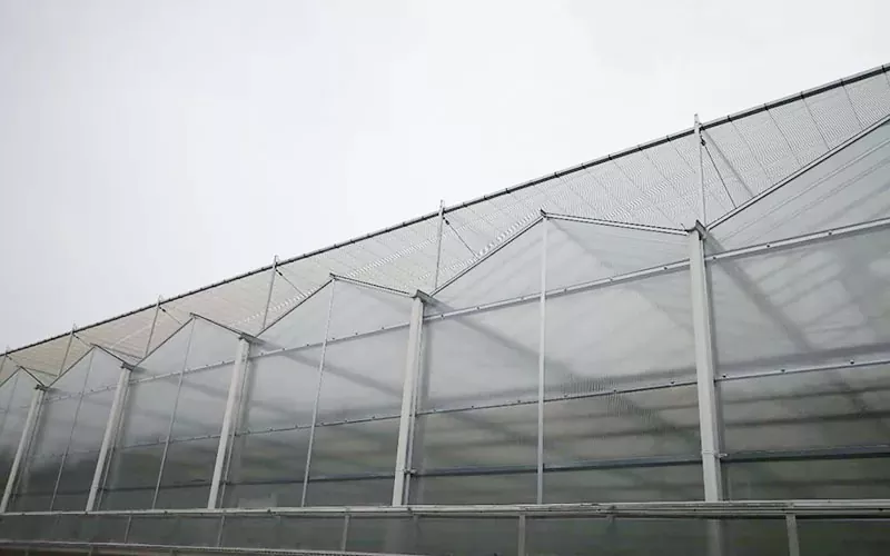 Agricultura avançada de tecnologia de estufa de pc esteparas agricultura sustentável