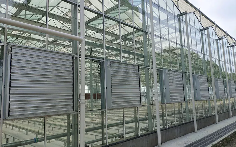 Cortina molhada da almofada de resfriamento e sistema de refrigeração da estufa do exaustor