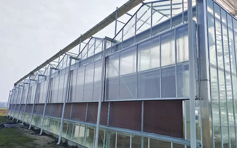 Estufa de policarbonato transparente multi-span para venda