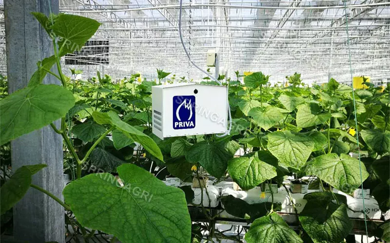 Solução de estufa personalizada para agricultura inteligente