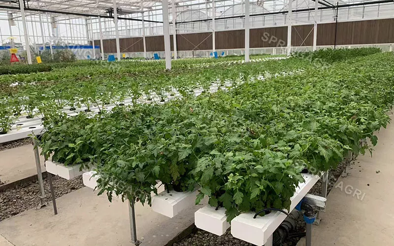Sistemas de cultivo hidropônico de agricultura vertical NFT